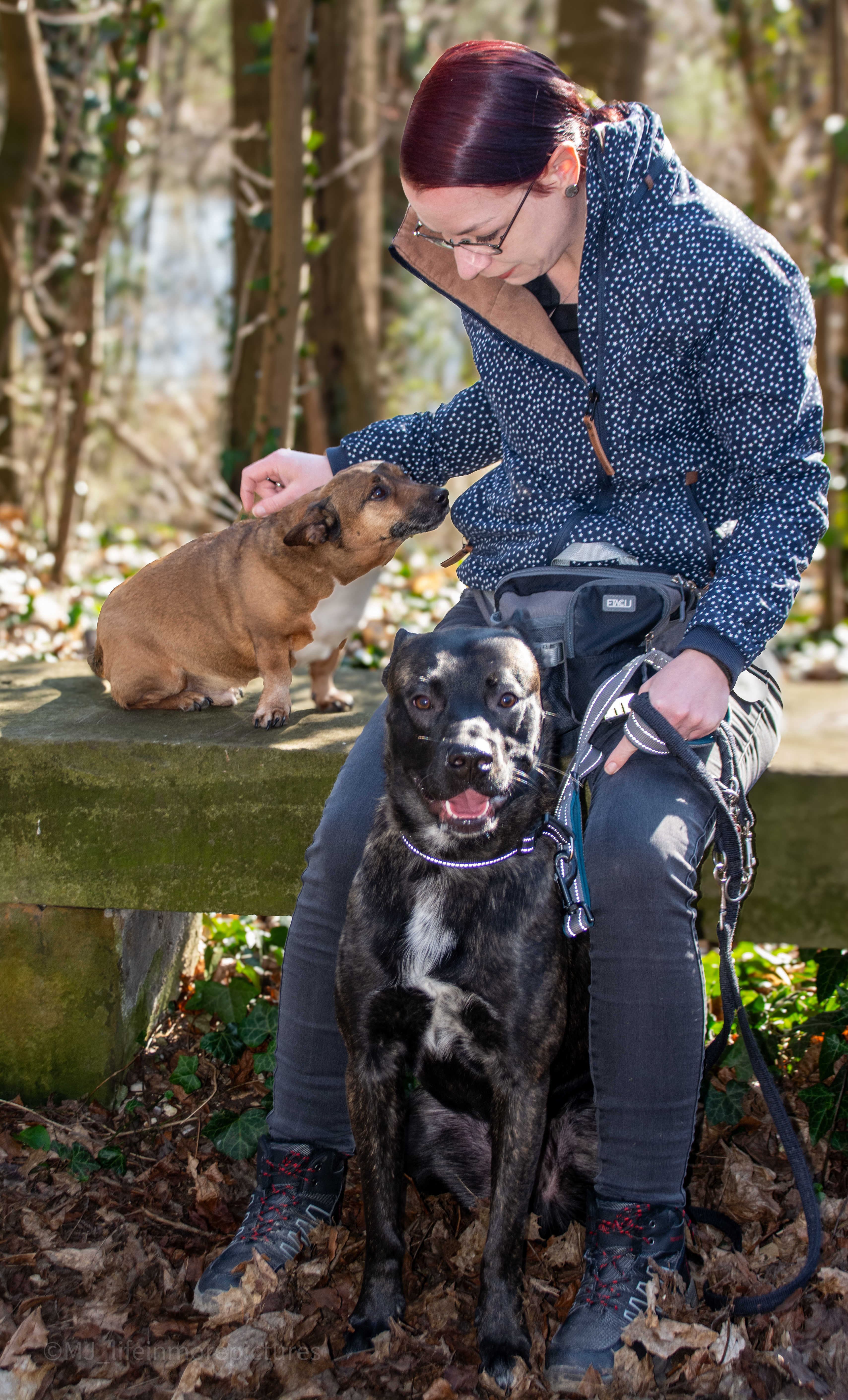 Frau sitzt auf einer Steinbank mit zwei Hunden. ein Hund sitzt mit auf der Bank, der andere Hund sitzt vor der Frau